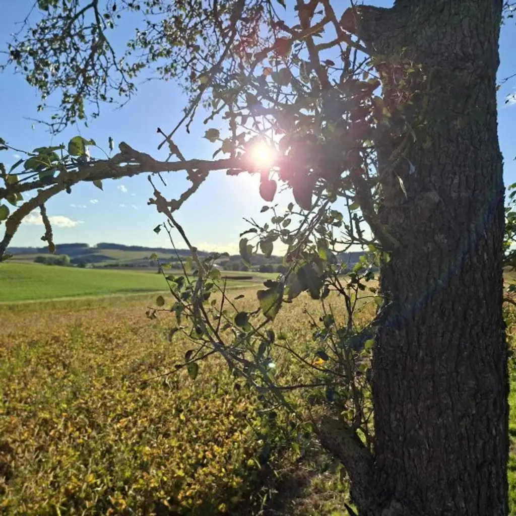 Anlageobjekt  - Eigener Anteil an einem sanierten, historischem Bauernhof -Garantierter MIeter