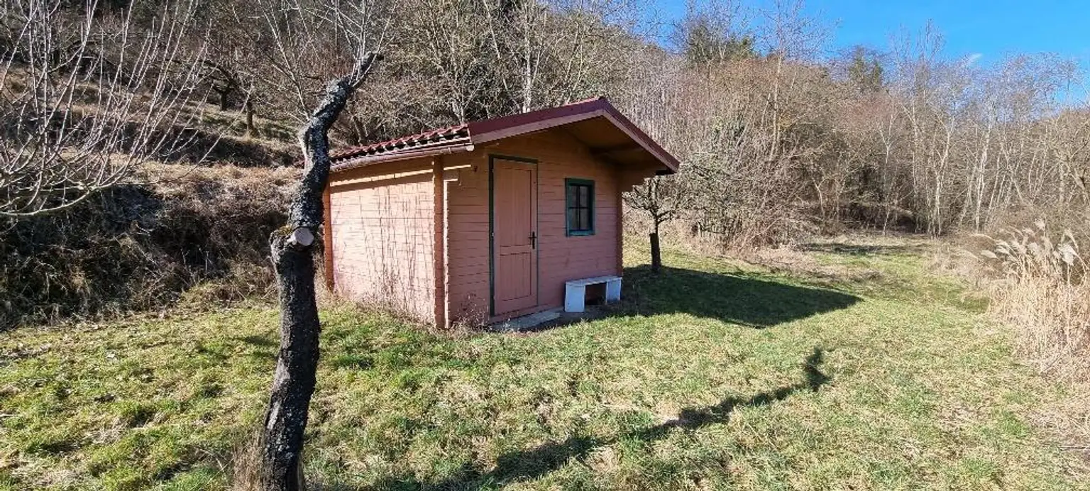 RARITÄT IN SENFTENBERG - GELEGENHEIT AUF EINEN WEINKELLER MIT SCHÖNEM KELLERGEBÄUDE, KELLERRÖHRE SOWIE GARTENHAUS AUF HERRLICHEM TEILWEISE ALS BAULAND GEWIDMETEN GRUNDSTÜCK
