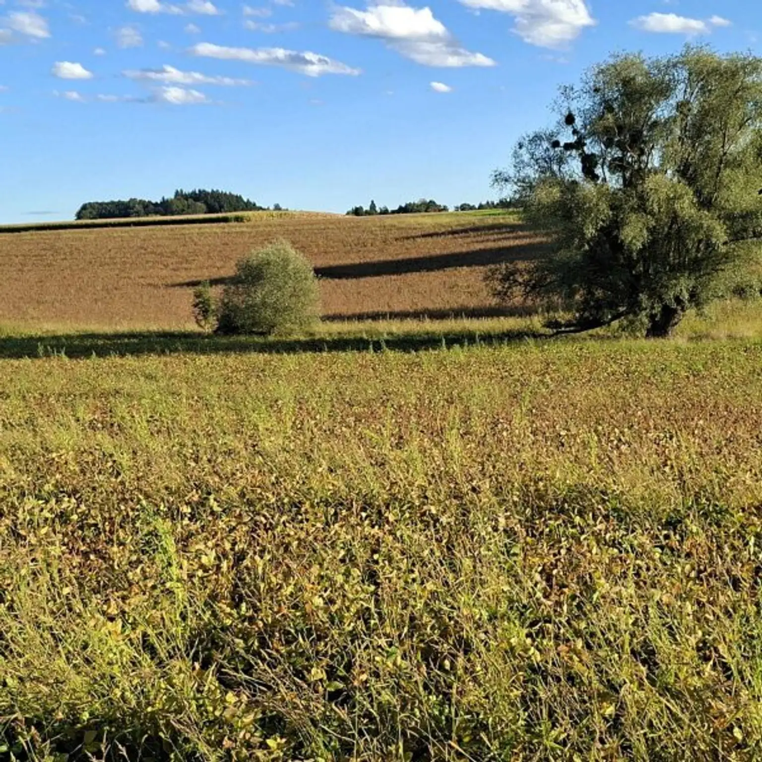 Anlageobjekt  - Eigener Anteil an einem sanierten, historischem Bauernhof -Garantierter MIeter
