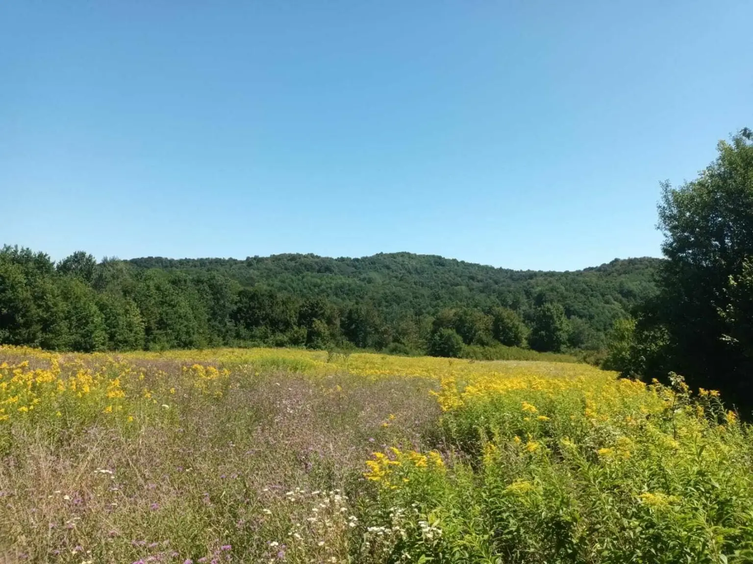 WhatsApp Image 2025-08-08 at 17.39.25 (2)