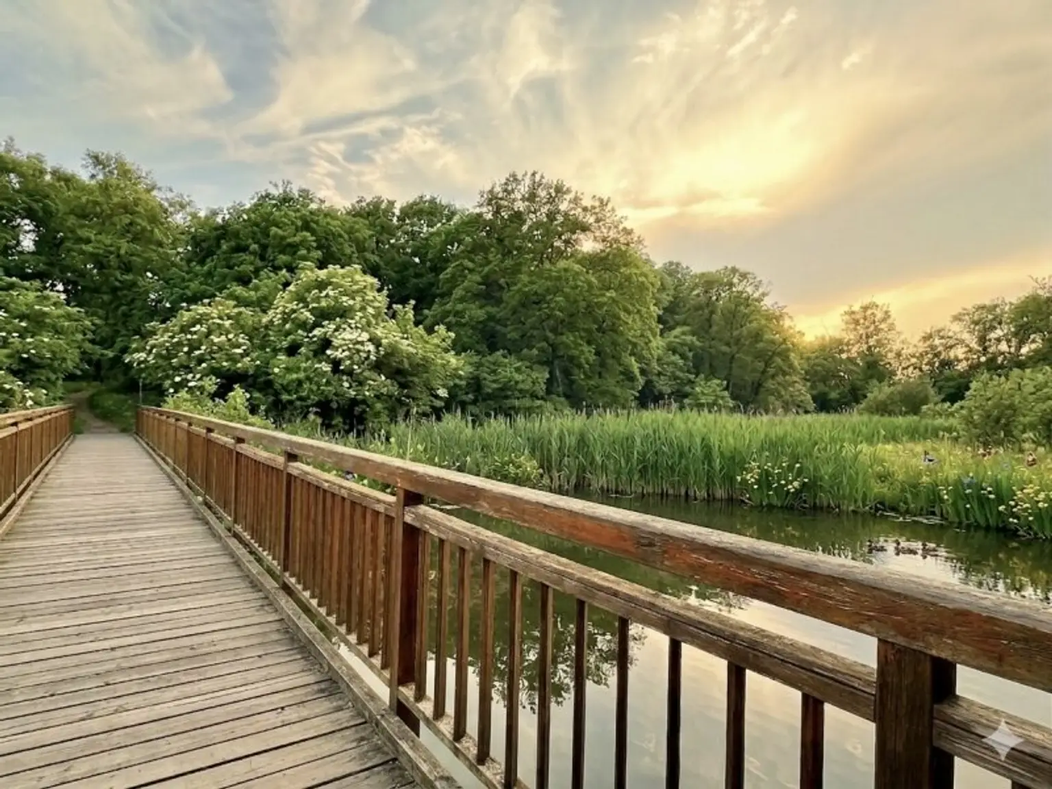 Brücke_Himmelteich_bearbeitet