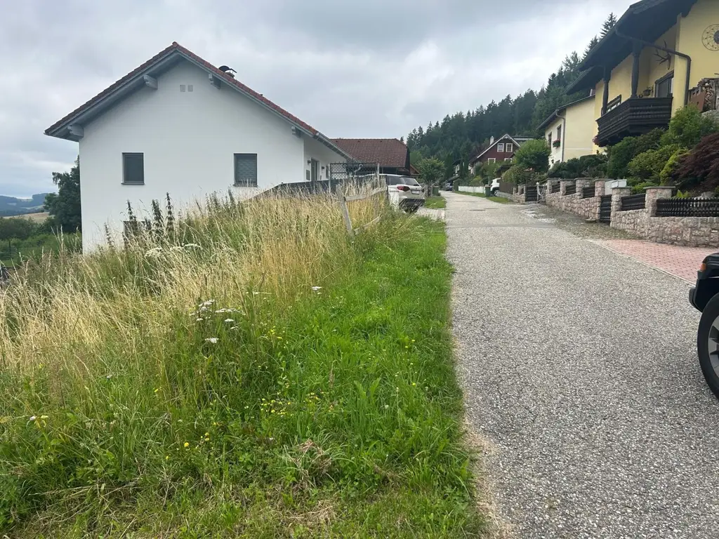 Grundstück, günstig   mit W Widmung  für Ihren Wohntraum in er Grubdorf Siedlung  Einzel oder Doppelhaus möglich