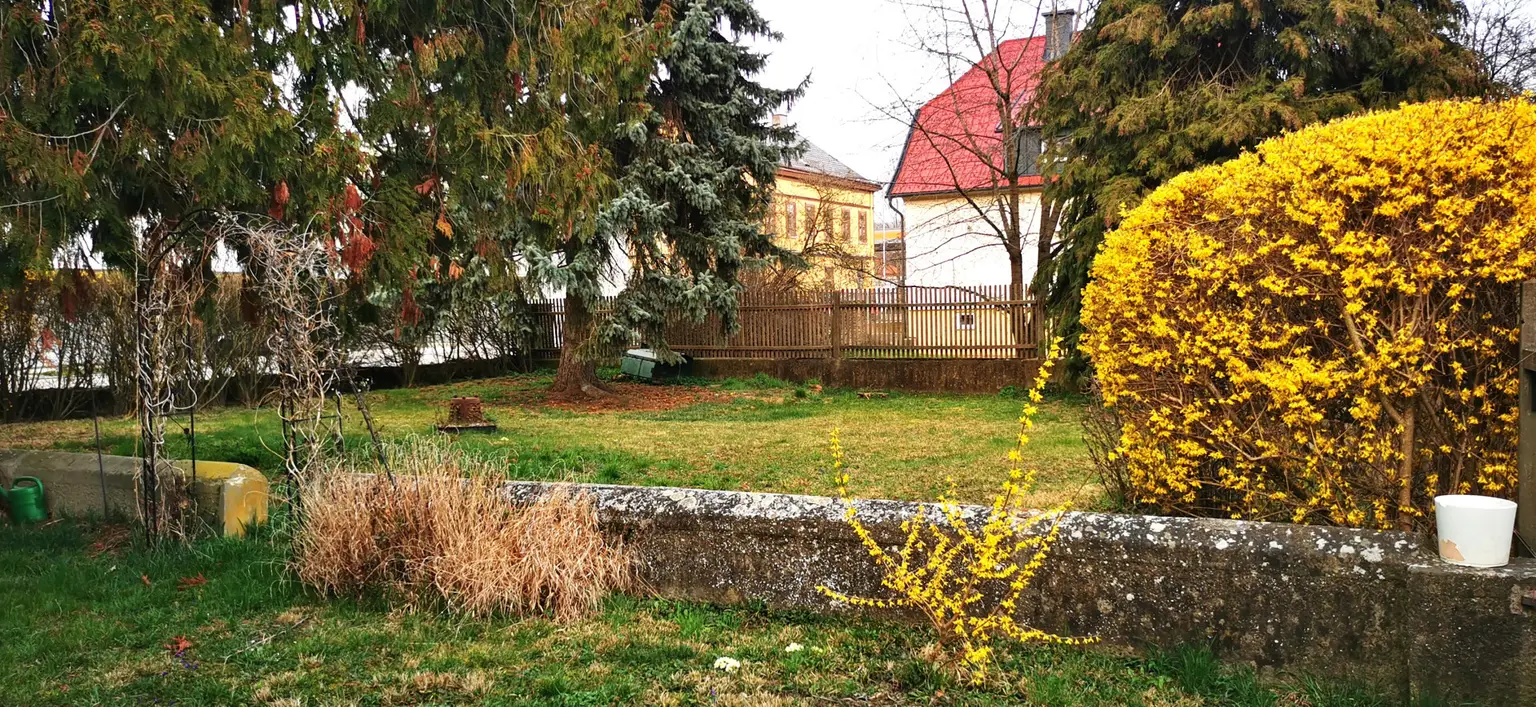 Garten_01