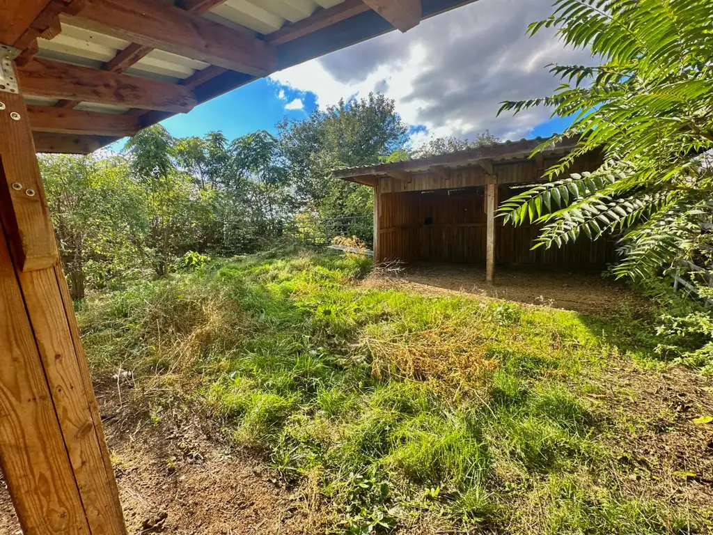 Reiterparadies im Weinviertel – Ihr Traum vom Landleben!