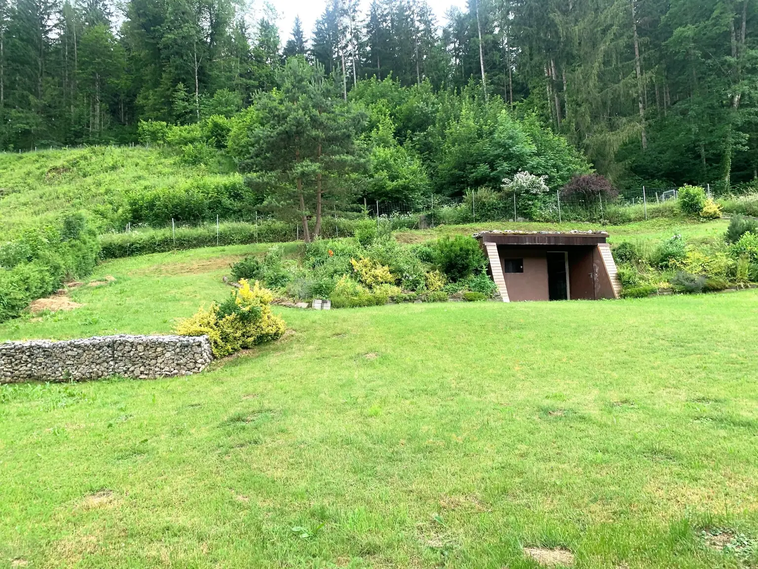 Hobbit lässt grüßen