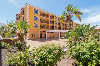 El-Mocan-Overview-Palm-Mar-Tenerife-2