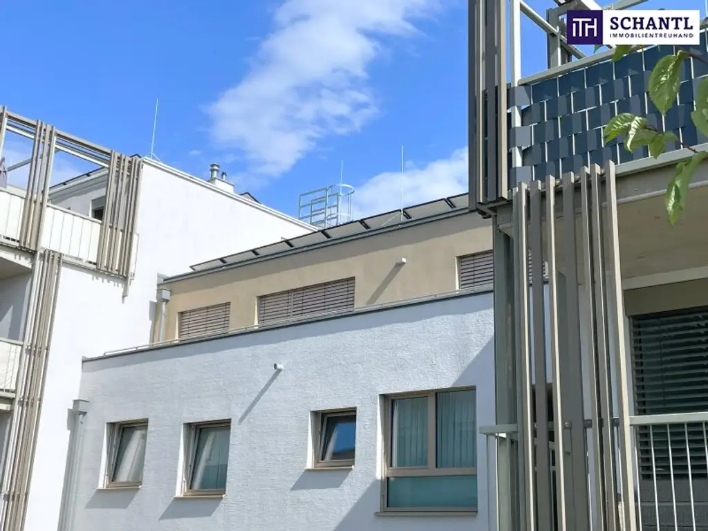 3-Zimmer-Wohntraum mit Dachterrasse in Ebergassing - Sonnenuntergänge inklusive! Schnell sein!