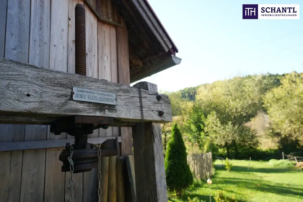 SENSATIONELLES JUWEL! Exklusiver Vierkanthof im Thermenland Steiermark – Wohnen, Reiten & Leben mit Pool und Natur!