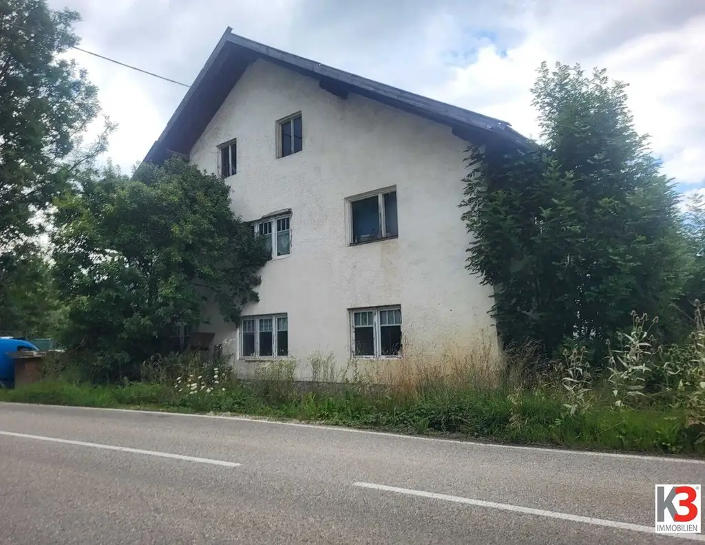 K3 - Sanierungsbedürftiges Ein- Zweifamilienhaus mit großem Grundstück!