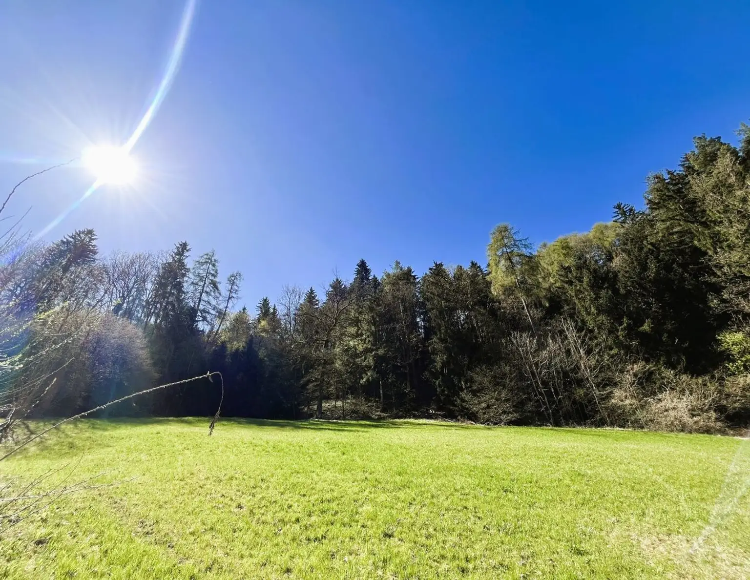 NAHE INNSBRUCK: Bis zu 1000m² großer Baugrund in traumhafter Lage mit Bergblick ab sofort zu kaufen!
