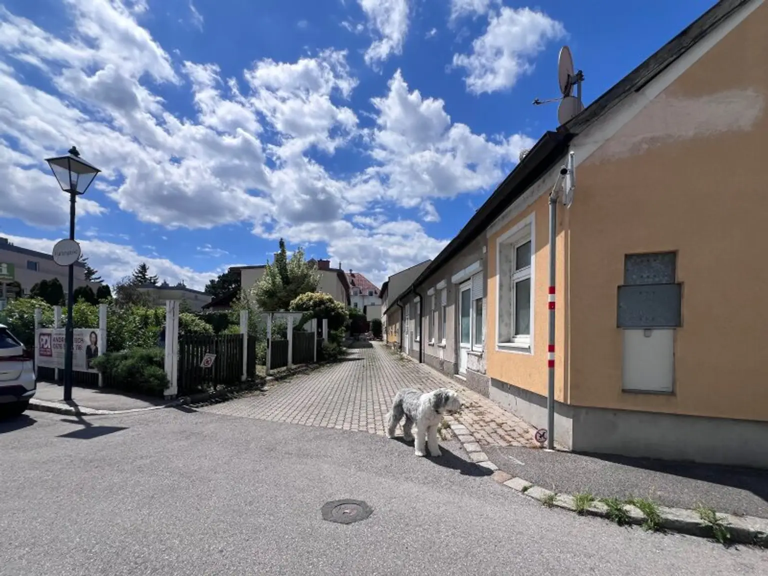 Blick zum Eigengarten gegenüber