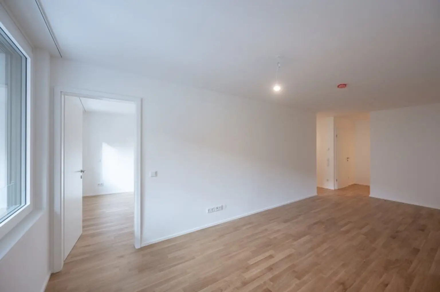 ++MOLLARD 50++ Moderne 3-Zimmer-Wohnung mitten im Herzen der Stadt (1/12)