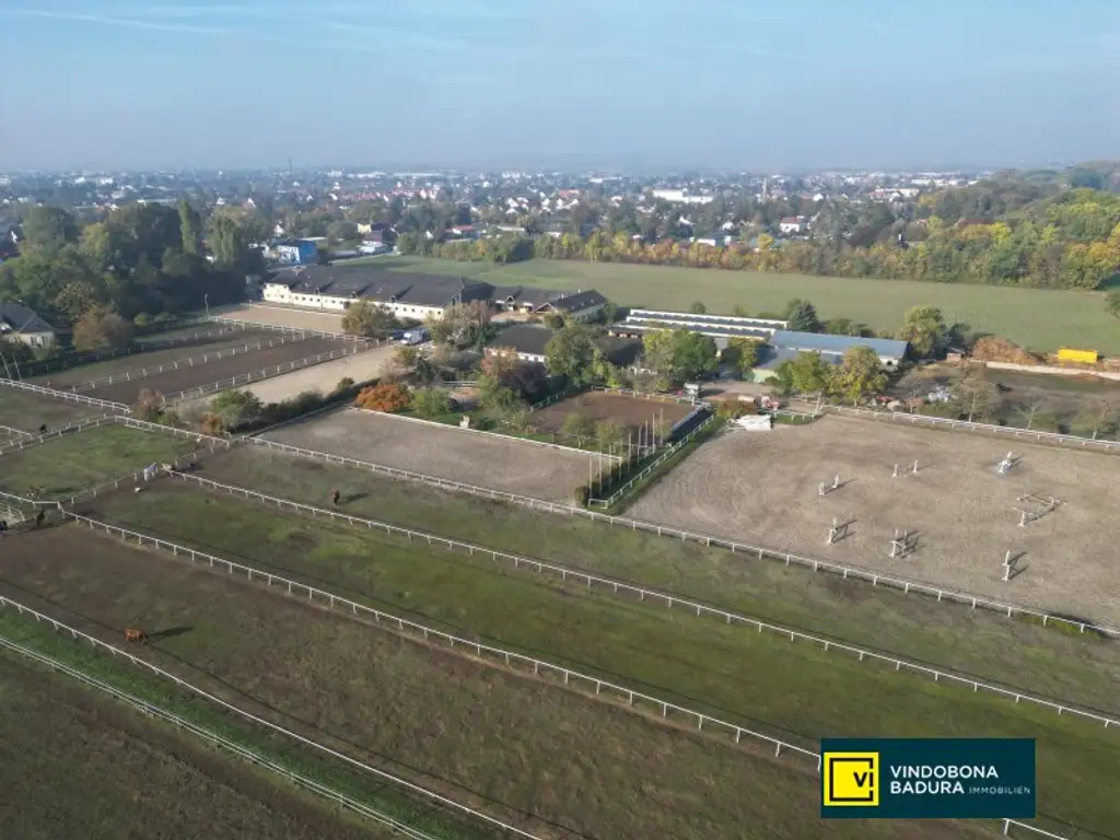 Exklusive Reitsportanlage vor den Toren Wiens – 145 Boxen | Reithallen | Reitplätze | Koppeln | Villa & Personalwohnungen