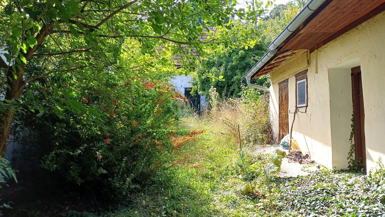 burgenländischer Streckhof - Baugrund mit Altbestand, Abriss o. Sanierung