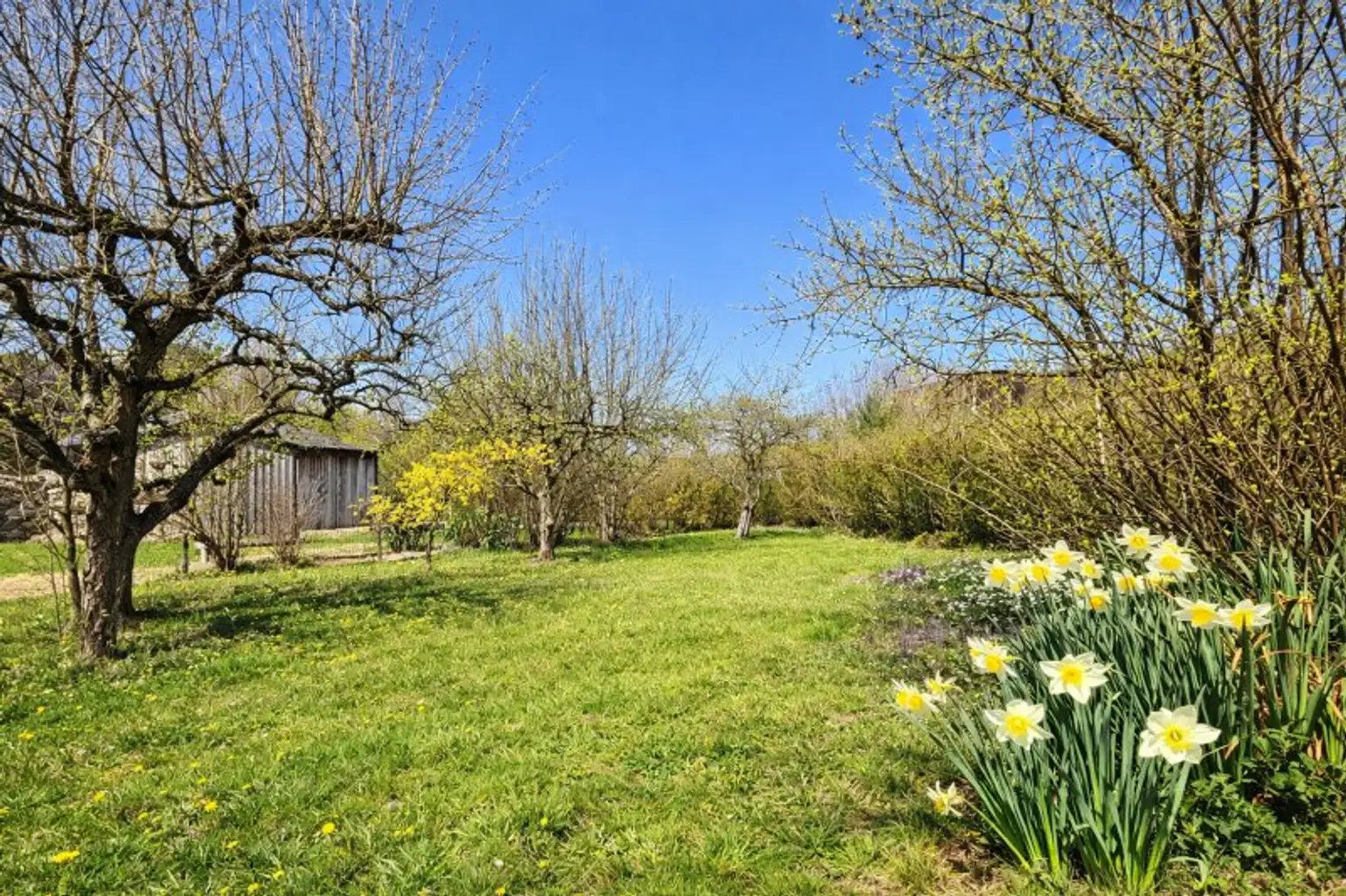 Kompagnon Immobilien Garten