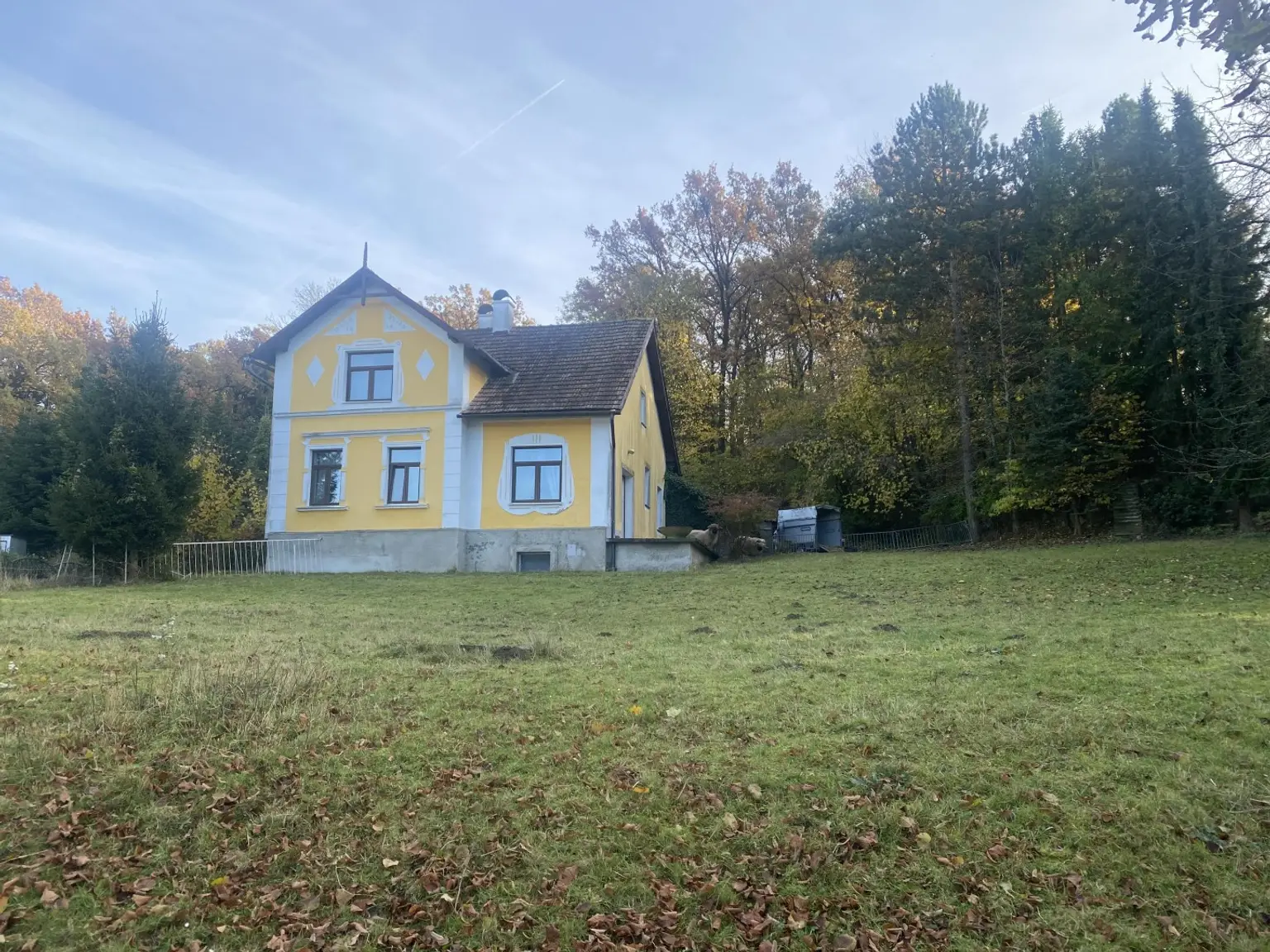 "Jahrhundertwende Stilhaus mit Wald"