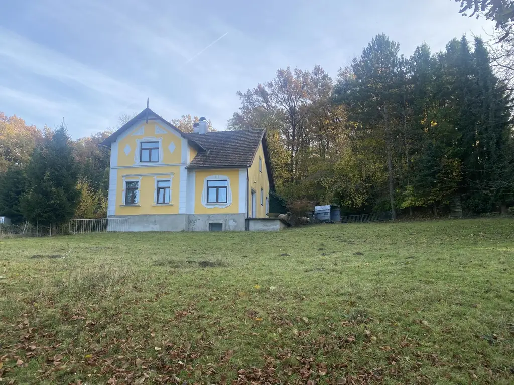 "Jahrhundertwende Stilhaus mit Wald"