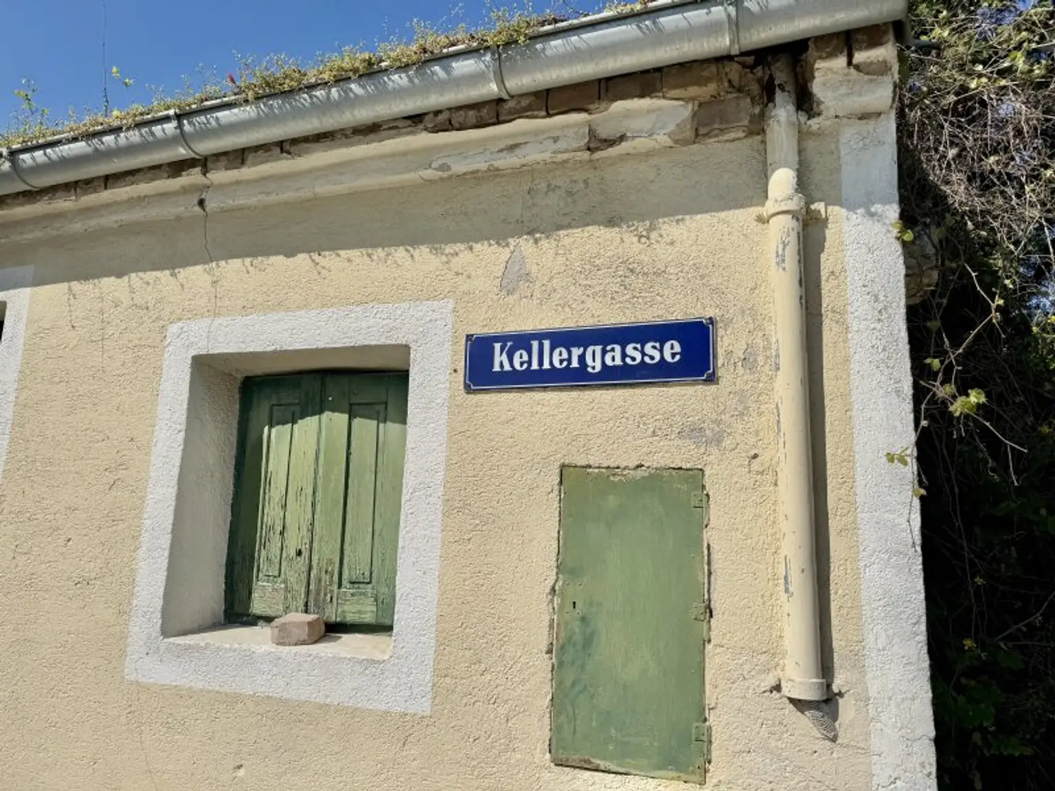 Weinkeller in idyllischer Kellergasse | Nähe Langenlois