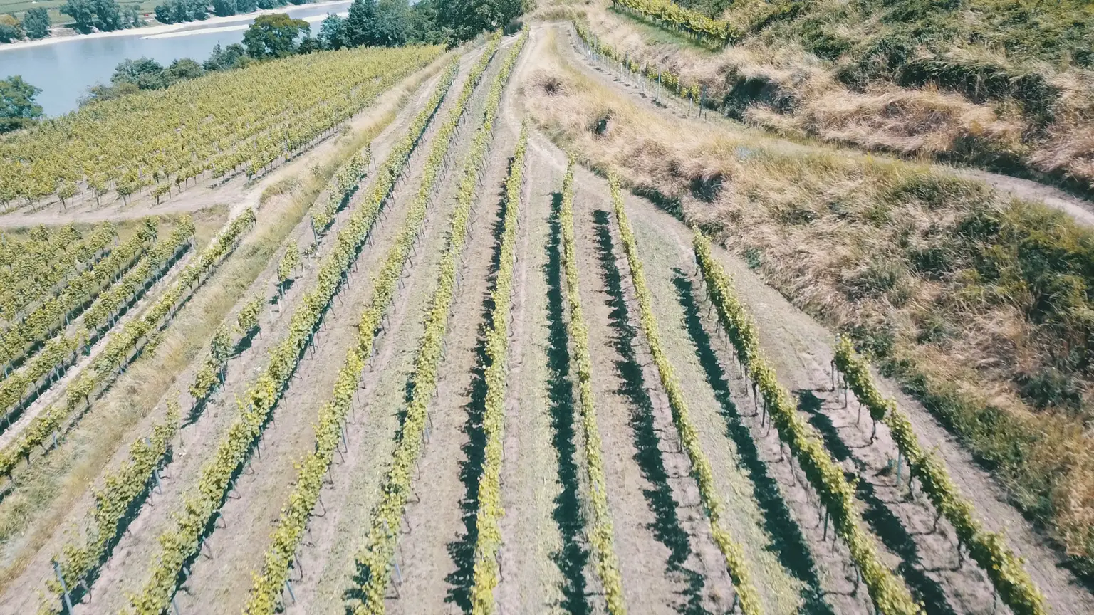 Ansicht5