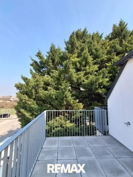 16 Terrassengrünblick 1220