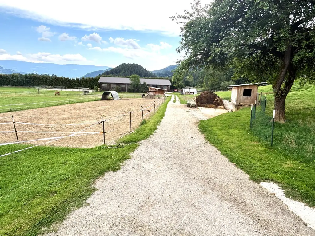 KLEINLANDWIRTSCHAFTLICHES JUWEL! CA.10 HEKTAR WALD! WIESEN! BETRIEBSFLÄCHEN!