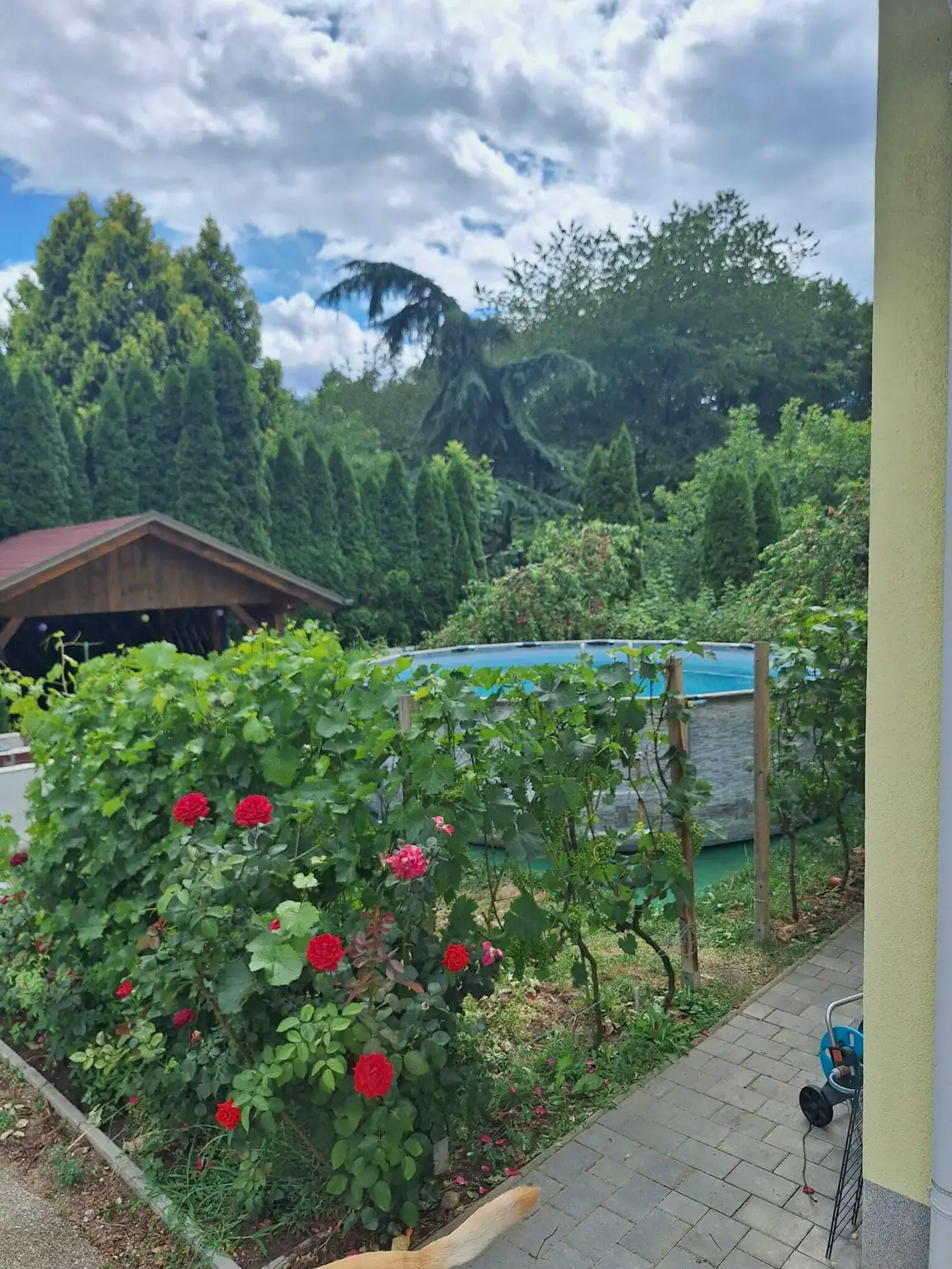 NEUER PREIS Großzügiges Haus in Maria Rojach mit Terrasse, Balkon, Kamin & Solar!