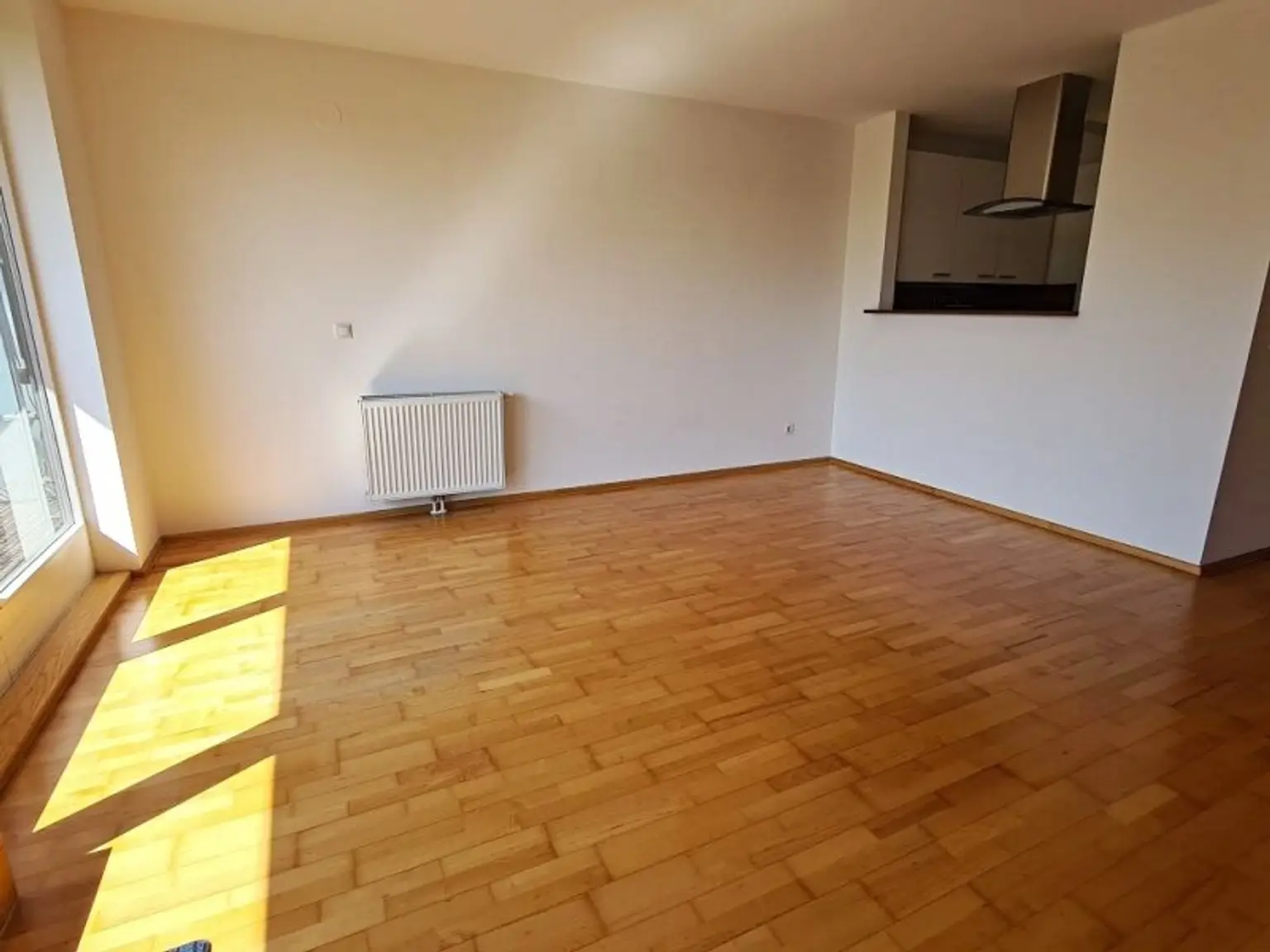 INNSTRASSE, FERNBLICK, unbefristete 97 m2 Dachgeschoß-Maisonette mit Loggia, 2 Zimmer, Komplettküche, Wannenbad, Parketten, gefördert