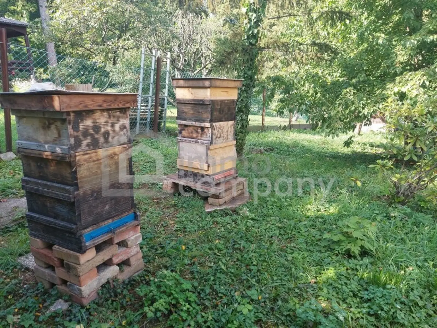 Traumgrundstück in Wien Hietzing mit einzigartigem Ausblick!