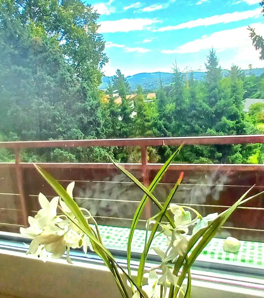 Traumhafte Fernsicht. Loggia. Garten. Ruhelage. 3 Zimmmer in Graz Nord