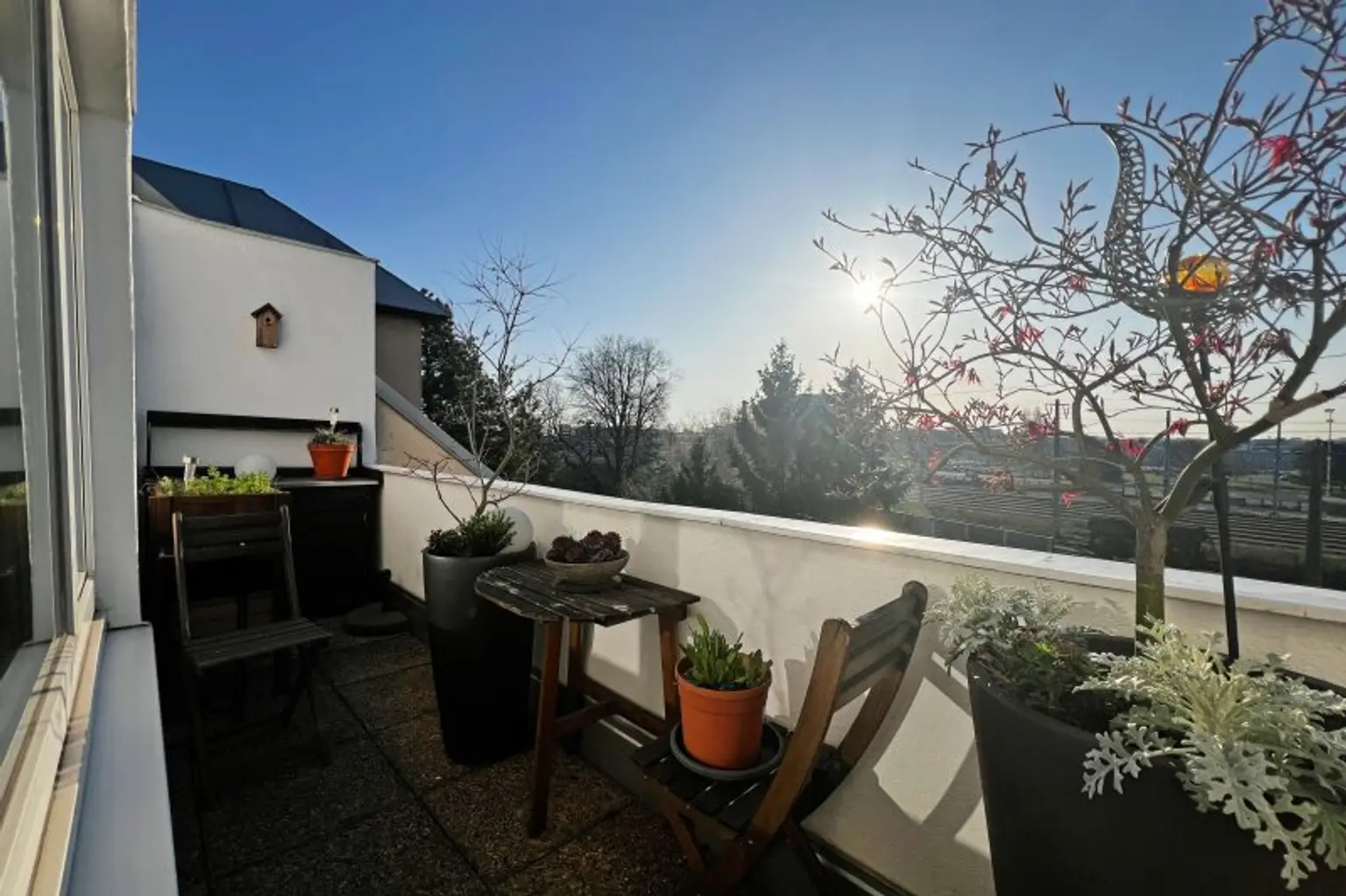 Freiheit spüren, durchatmen, wohlfühlen - Kahlenbergblick in Floridsdorf