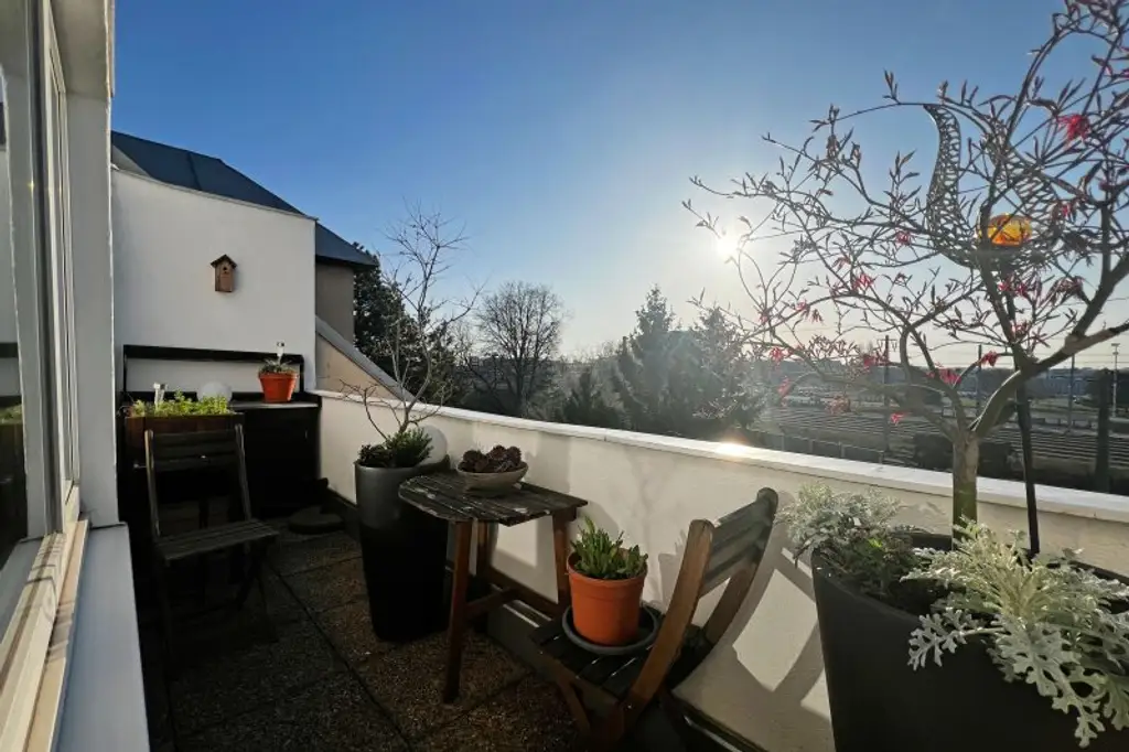 Freiheit spüren, durchatmen, wohlfühlen - Kahlenbergblick in Floridsdorf