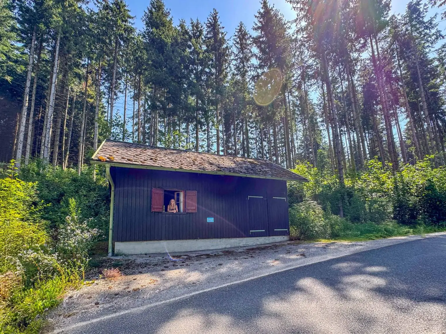 PERFEKTER HOBBY-WALD mit Arbeitshütte !