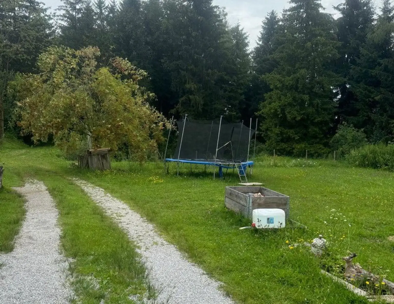 Freizeitgund mit Wald Wiese und fischteich