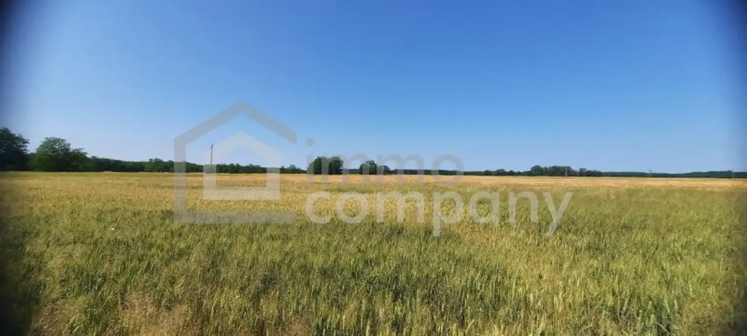 SSV - Charmantes Bauernhaus mit Nebengebäuden in Gyóró – 75 Min von Wien