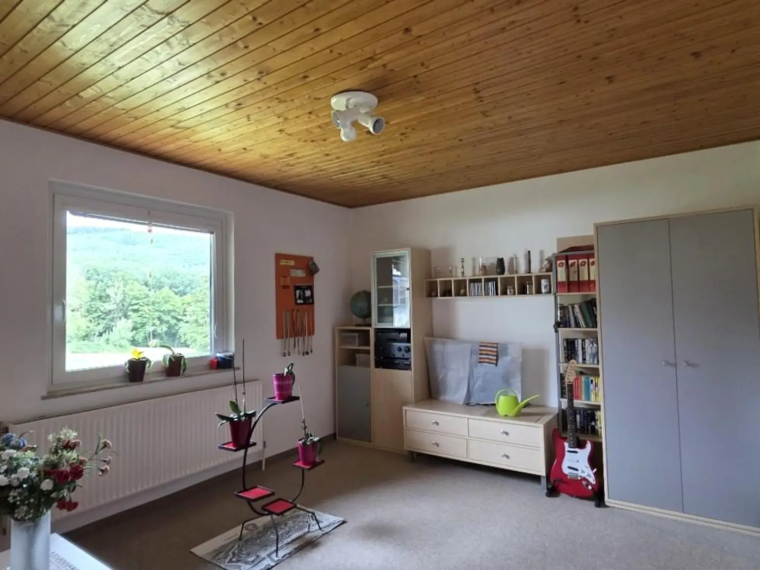 Zimmer2, DG