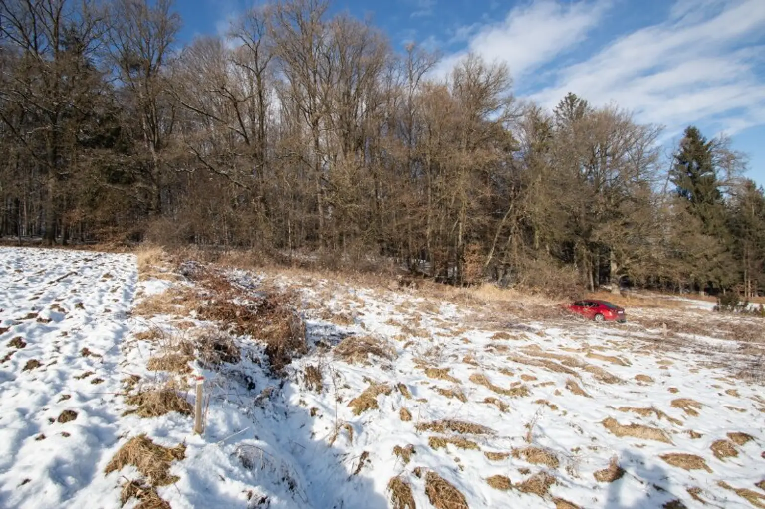 Grundstück - Kompagnon Immobilien