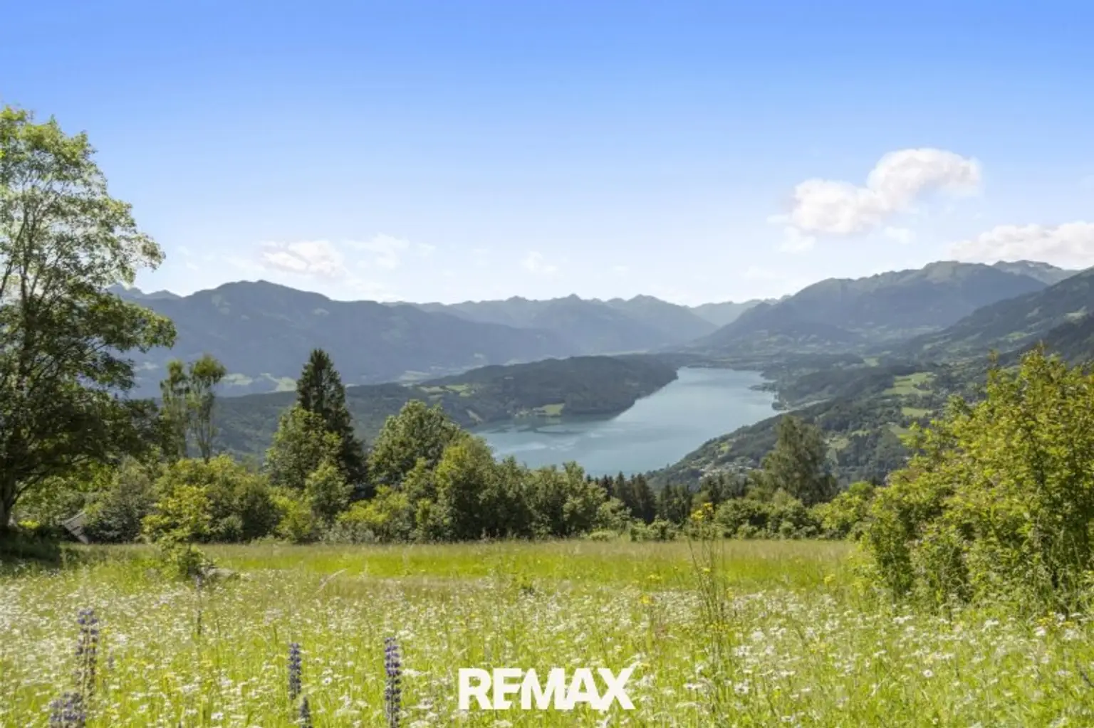 Almwiesen und der See