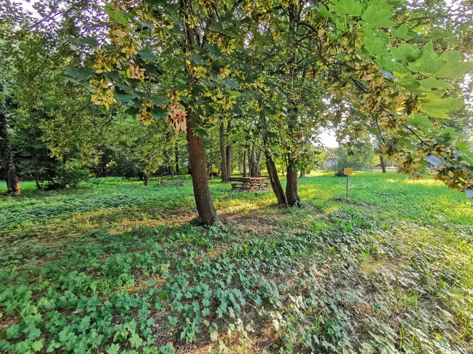 Wohnen mit Panoramablick auf die Rax!