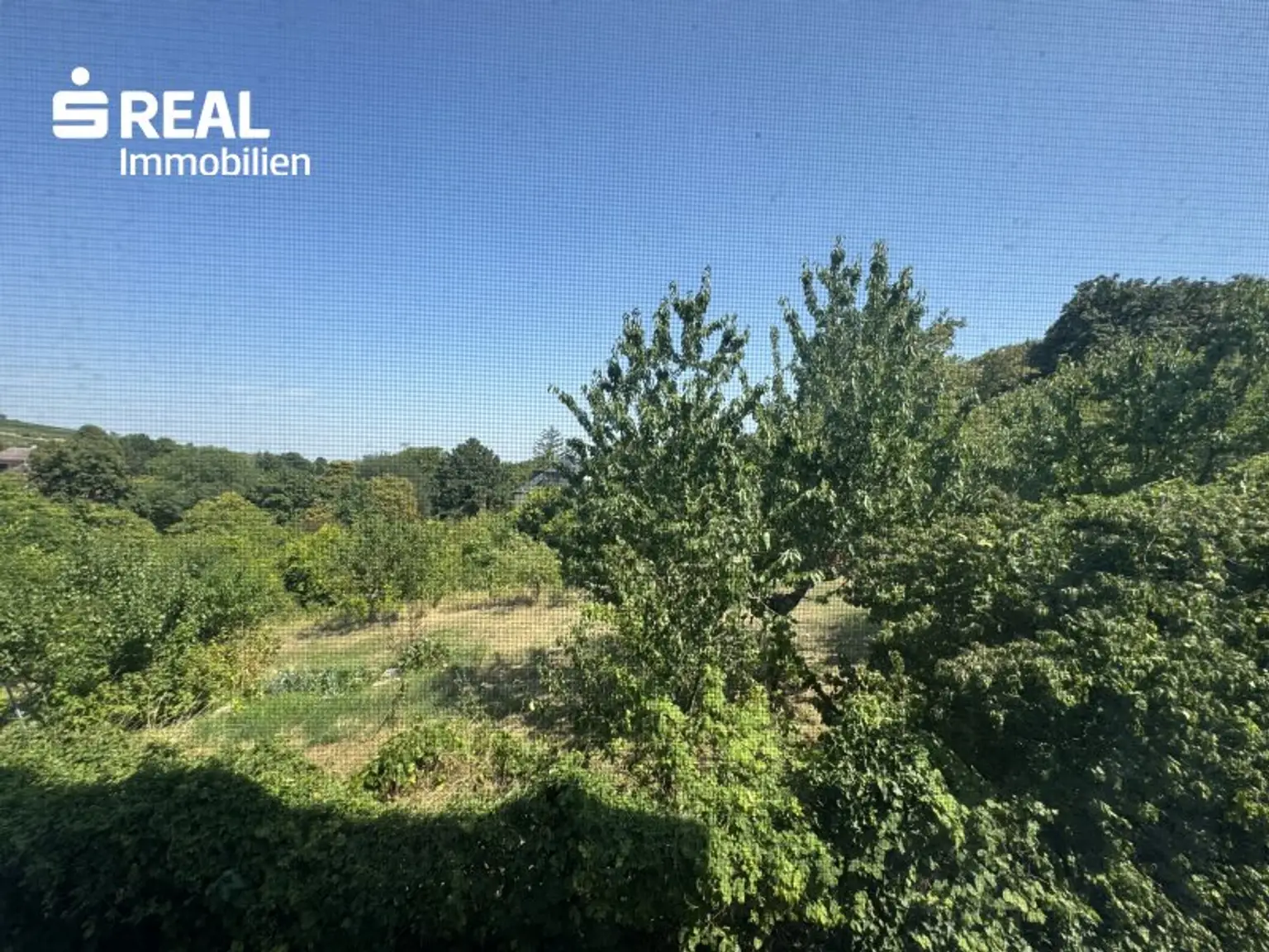 Ausblick vom Fenter
