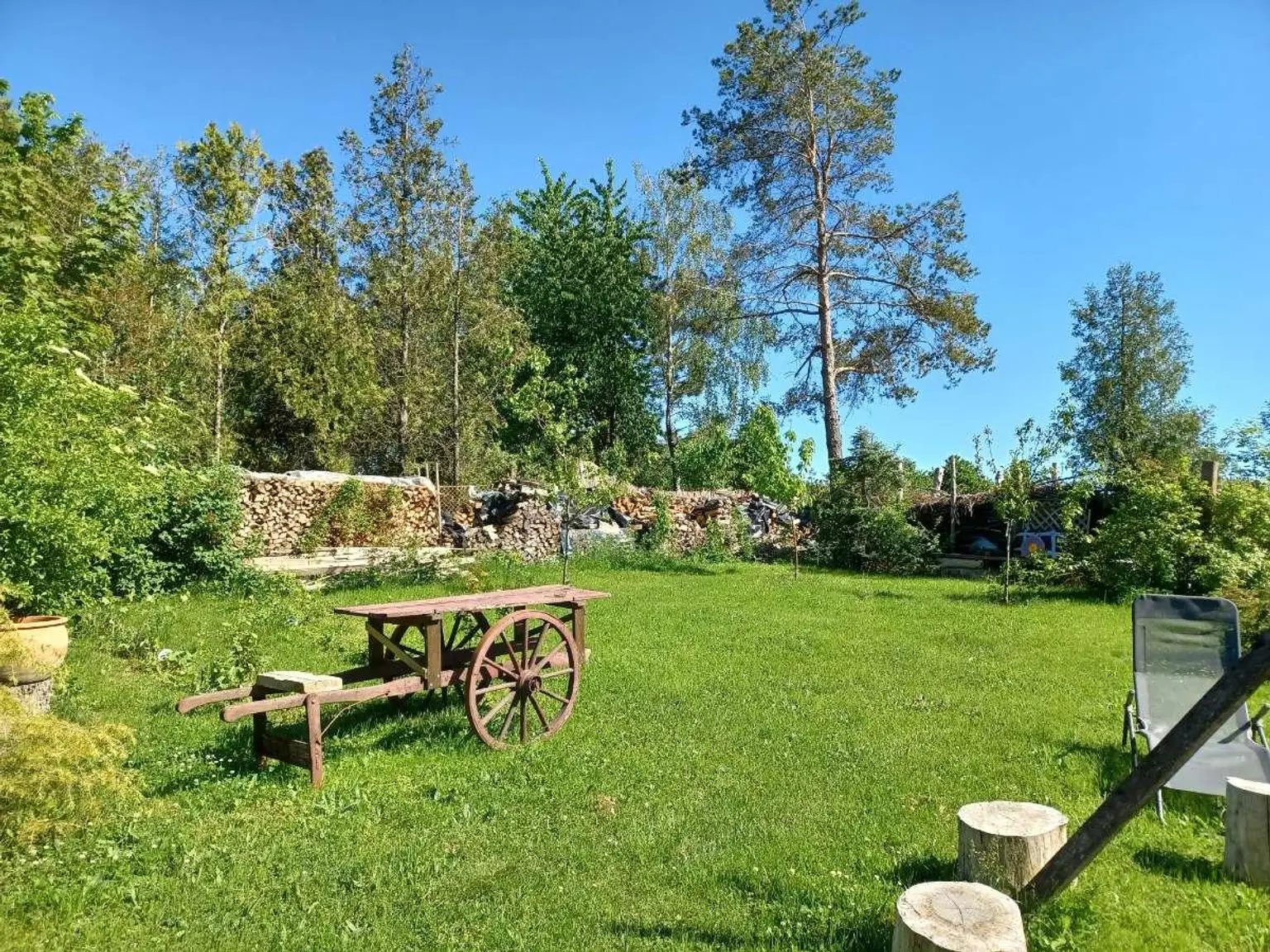 Garteneindrücke Sommer (3)