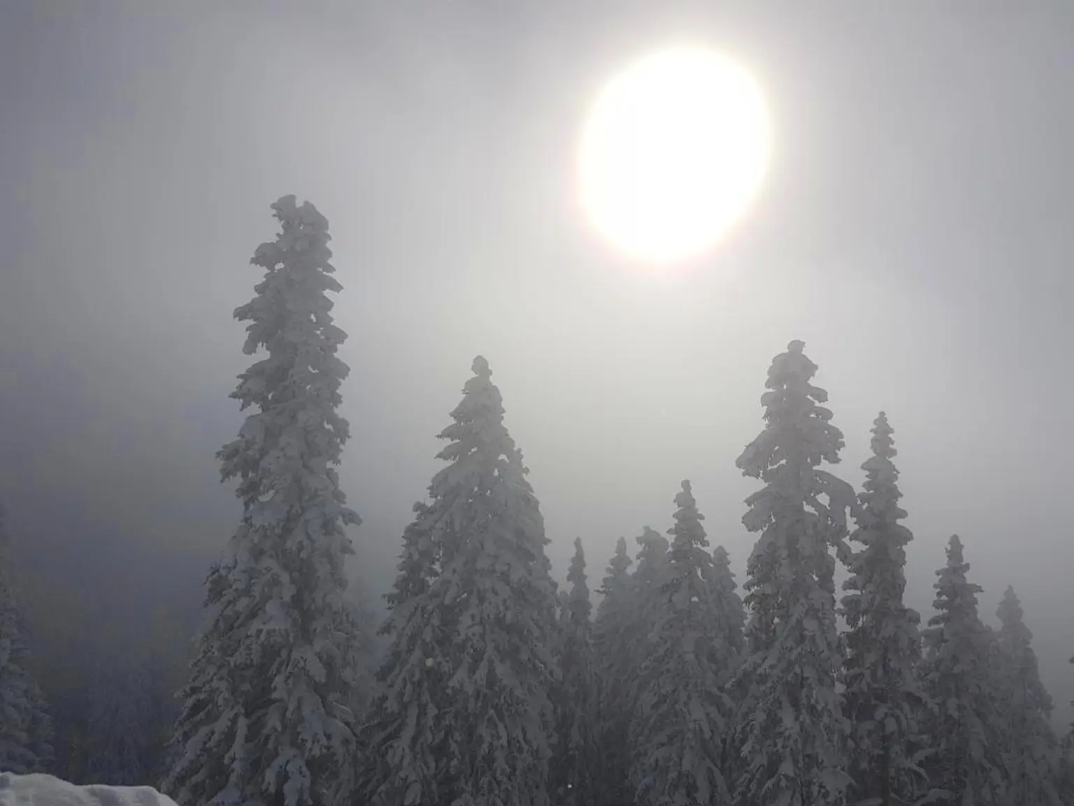 Winter, Sonne, Nebel, Schnee