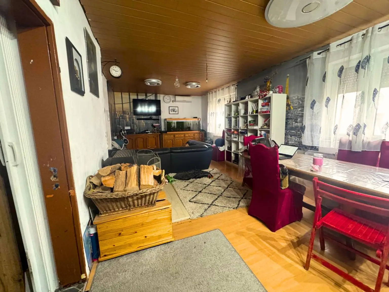 Einfamilienhaus mit Potential in Traiskirchen