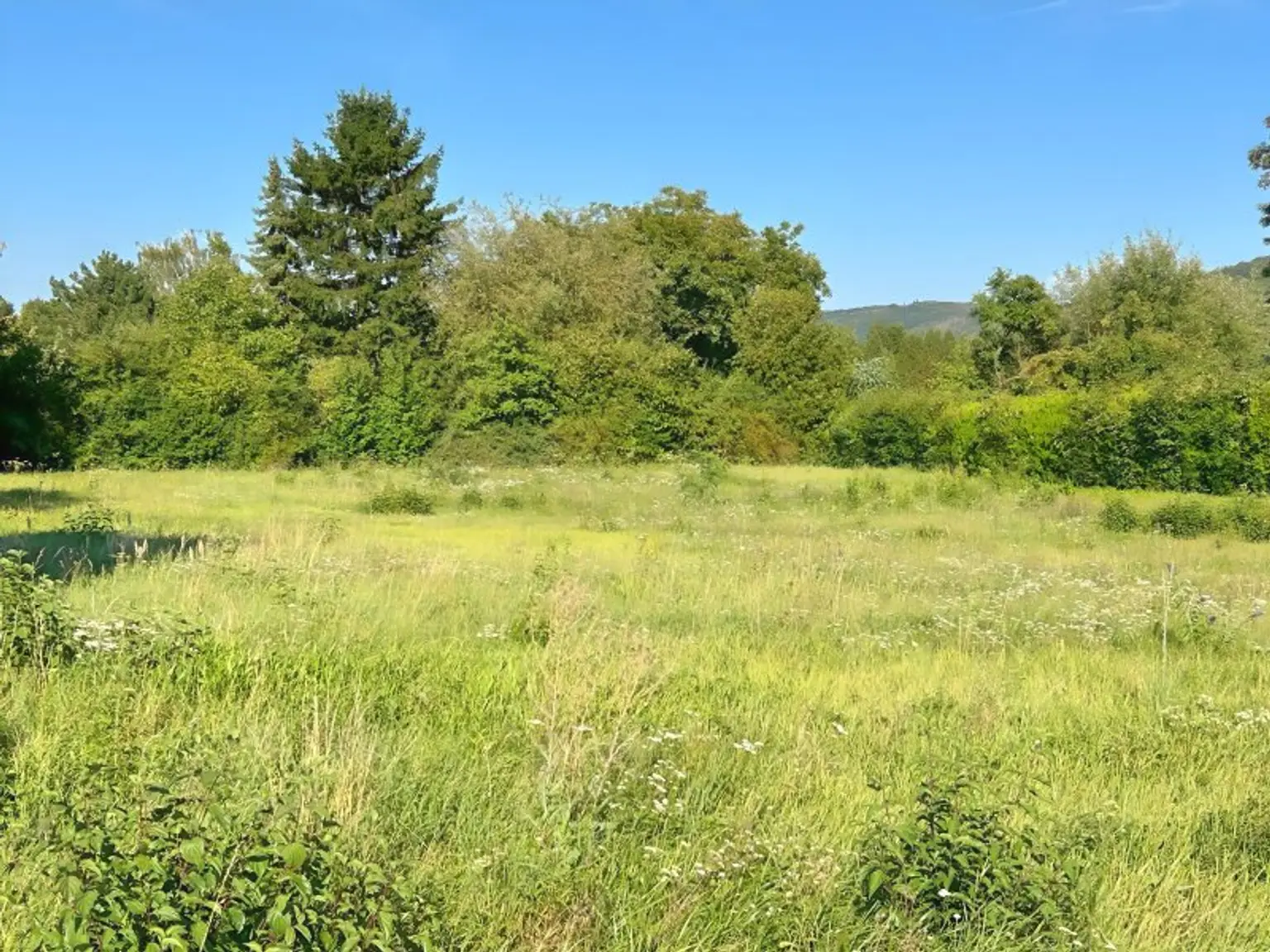 Sonniges Baugrundstück in Wolfpassing: 2.102m² für 989.000 € – Ihr Platz zum Leben! AUCH FÜR BAUTRÄGER INTERESSANT!