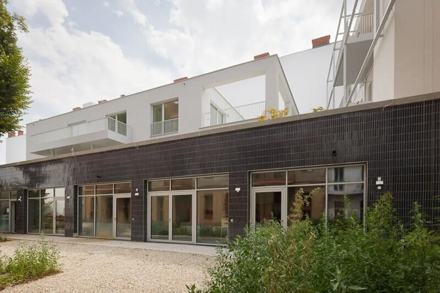 Bild0121