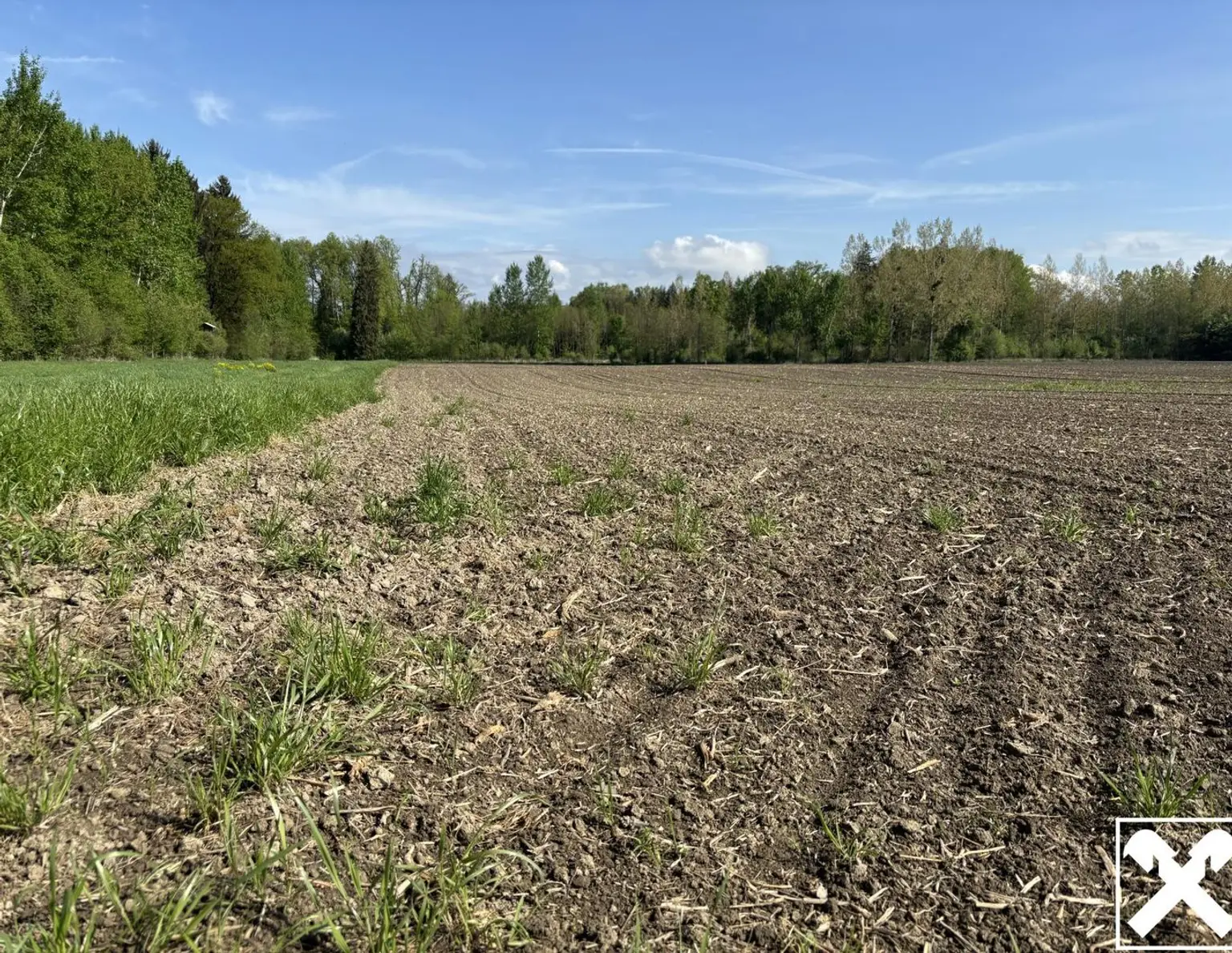 Landwirtschaftliche Fläche mit Waldanteil und guter Erreichbarkeit