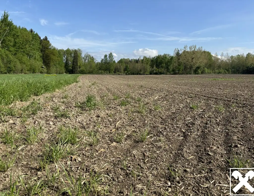 Landwirtschaftliche Fläche mit Waldanteil und guter Erreichbarkeit