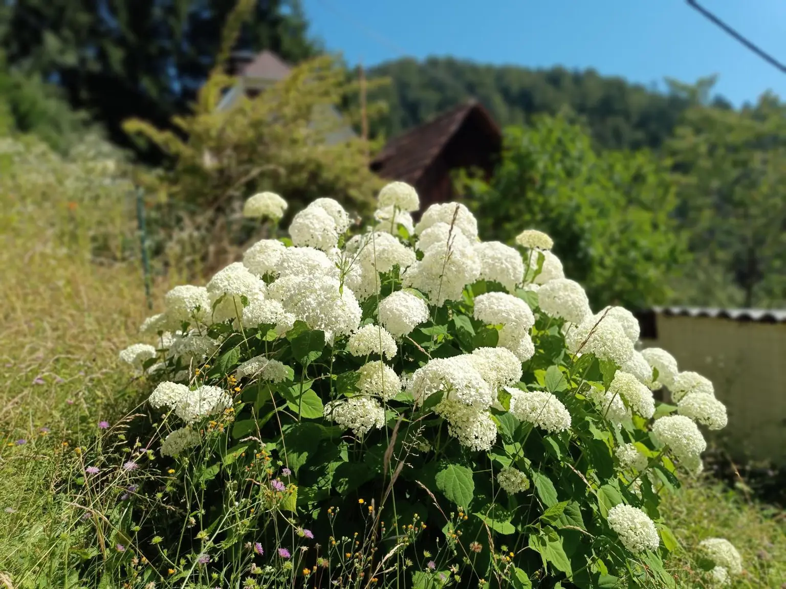 Einfamilienhaus mit viel Potenzial - Wohnen mit Weitblick