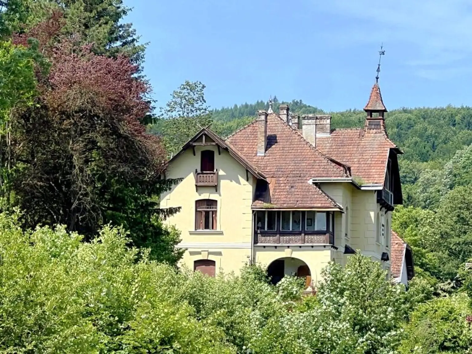 Herrschaftliches, historisches Anwesen, 94.000m² Grund, WNFL 720m², absolute Ruhelage in Pressbaum!