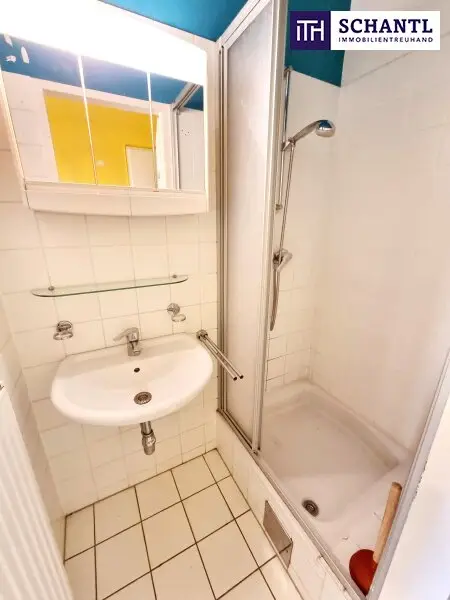 Ein Zuhause, das nach Ihrer Handschrift verlangt! Entzückende Altbauwohnung mit Sanierungsbedarf + Traumhaft schönes Haus + Perfekte Infrastruktur und Anbindung! Jetzt zugreifen!
