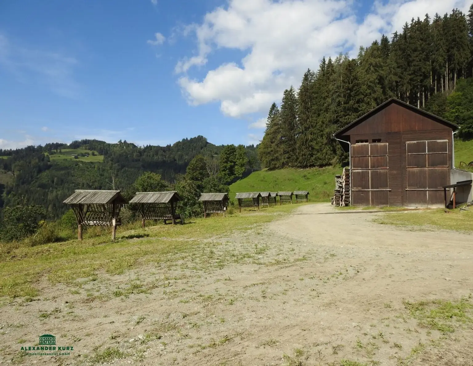 Pachtjagd - ca. 2.000 ha zentral in Österreich